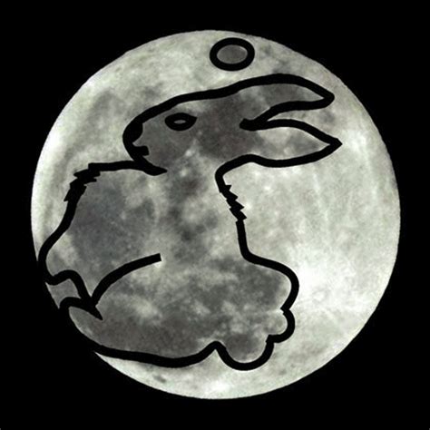 Bunny in the moon - The researcher searched for 